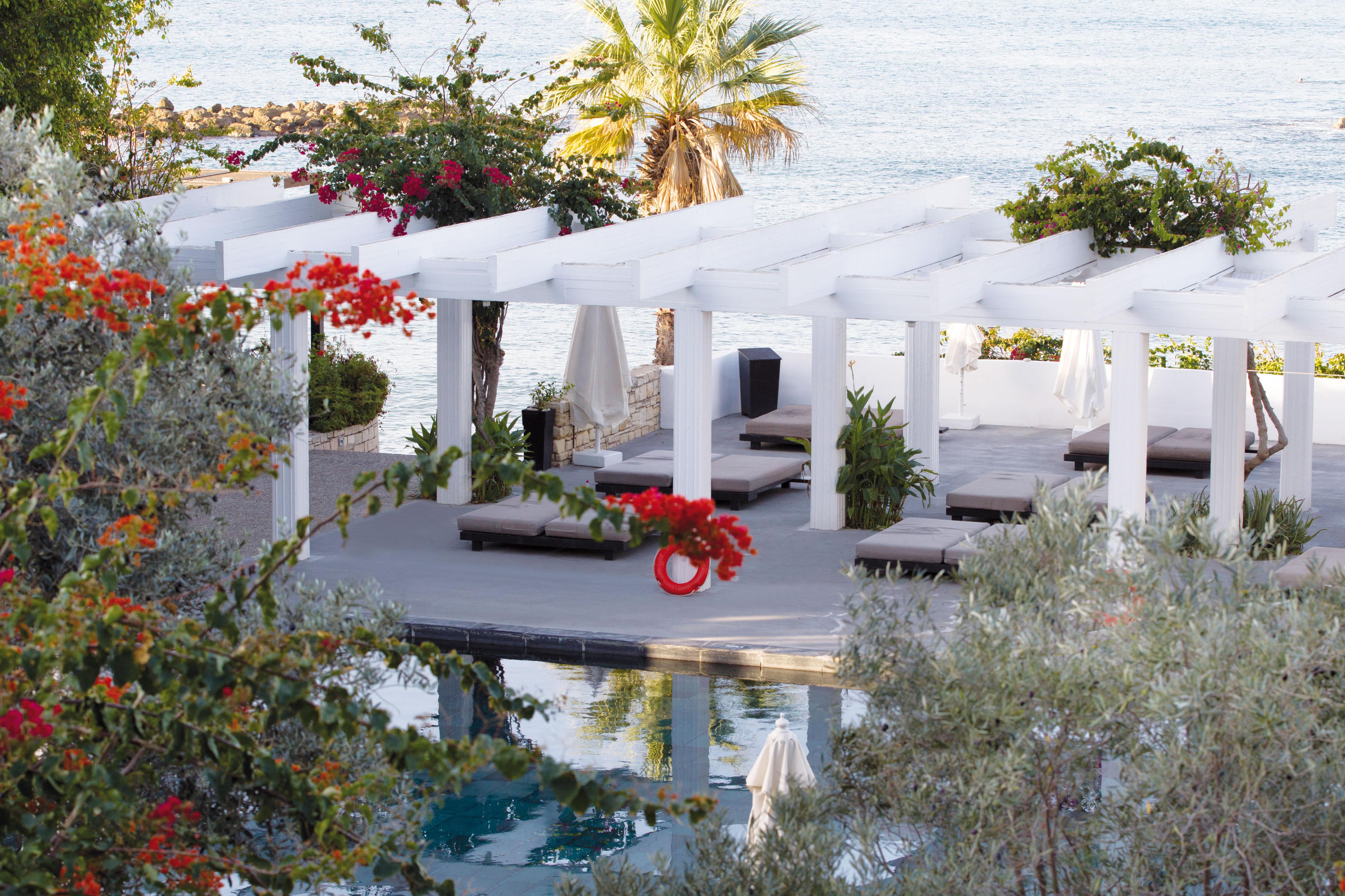 อัลมิรา Hotel Paphos ภายนอก รูปภาพ Pergola